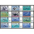 Ballenas y Delfines